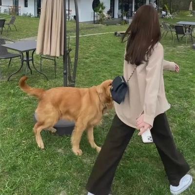 美容针